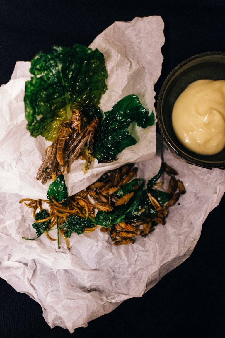 Tägliche Auswahl an frittierten Insekten mit hausgemachten Dips_credit Damian Tauchert