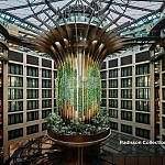 Vom Pilot zur Praxis: Radisson treibt klimaneutrale Hotels in die Skalierung